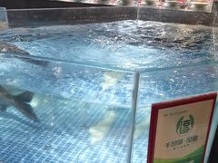 -绿杨春·淮扬宴(庐山路店)