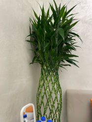 -和颜一美轻医美连锁