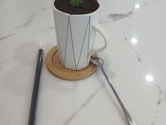 -喵园·猫主题咖啡厅·撸猫·猫咖(国贸店)