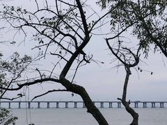 -宝安西湾红树林湿地公园