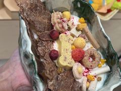 -帕帕拉兹宠物(亚洲旗舰店)