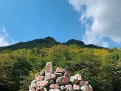 -龙道沟景区