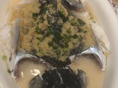 姜茸蒸泉水鲩-勝記酒家·37年老字号·经典粤菜(荔枝公园店)