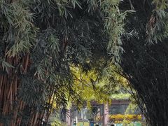 -四川大学(华西校区)