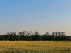 -汉长安城未央宫国家考古遗址公园