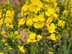 -中国天府农业博览园