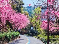 -杭州半山国家森林公园