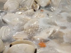 -拾下卜卜贝•海鲜火锅