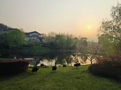 -雅达·阳羡溪山小镇中心