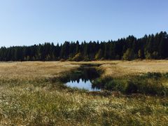 -塞罕坝国家级自然保护区