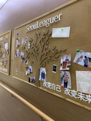 -上海首尔丽格医疗美容医院