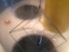 -陕西科学技术馆