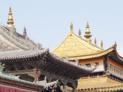 -塔尔寺