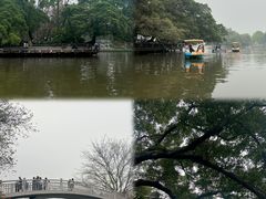 -东山湖公园