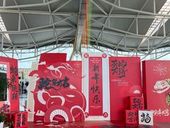 -重庆江北国际机场-T2航站楼