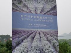 -北京东方普罗旺斯薰衣草庄园