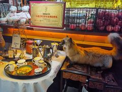 -杂咖zacup(领展中心城店)