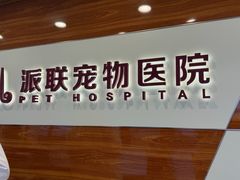 -派联宠物医院·24h·CT·异宠