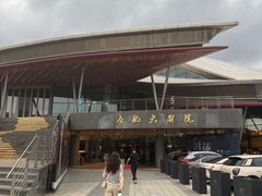 -合肥大剧院