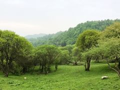 -大水川景区