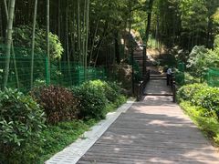 -天天鲜面馆(衡山路店)