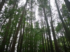 -东湖落雁景区