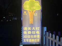 -枫花园汽车电影院(朝阳公园店)