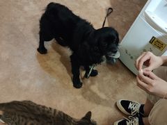 -逃脱反斗城沉浸剧情密室(北京路店)