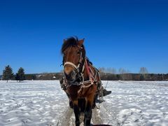 -北极村旅游风景区