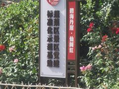 -蓬莱阁景区