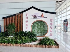 -襄阳富力皇冠假日酒店 · 大堂酒廊