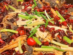 -老板恋上鱼(印象城店)