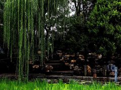 -莲湖公园