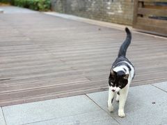 -颐和路民国时期公馆风貌区