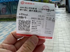 -AMG海上明珠影城(上海环球港RealDCinema店)