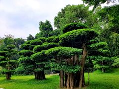 -南宁南湖公园