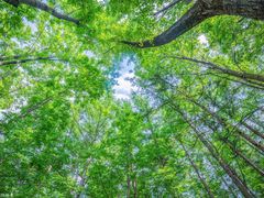 -洛阳白云山景区