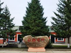 -北极村旅游风景区