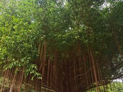 -南宁南湖公园