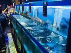 水产区-船梆煮•蒸汽海鲜·炉火烤肉(五四广场店)