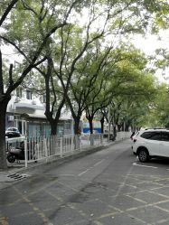 -北京市东城区妇幼保健院(南院区)