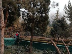 -黄村公园