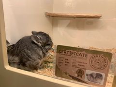 -龙猫仔乐园(惠福东路店)