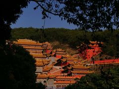 -东莞市大岭山森林公园