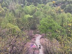 -天台山赤城山景区