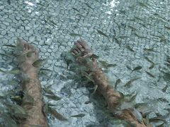 -上海玛雅海滩水公园