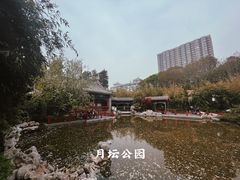 -月坛公园