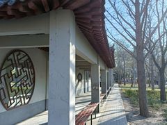 -莲花池公园