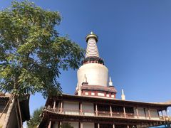 -张掖大佛寺景区