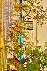 -俏江南户外宴会花园·梓塘婚礼堂(马场道店)